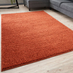 The Rugs Terra Soft Plain Design Fluffy Shaggy Rugs And Runners High Pile Living Room Kitchen Hallway 380 - thumbnail 1