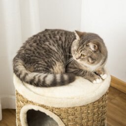 Pawhut Cat Scratching Barrel Pet Furniture Sisal Plushfor Indoor Cats, Khaki - thumbnail 9