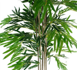 Leaf Artificial Bamboo Plants Trees Wood Trunk 180Cm 6Ft Realistic Natural Botanik - thumbnail 4