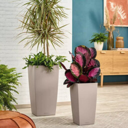 Lechuza Cubico Color 56Cm Tall Planter, Sand Brown Plastic Self-Watering Planter With Water Level Indicator H56 L30 W30 Cm - thumbnail 8