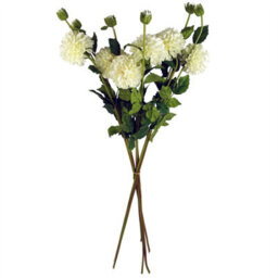 Leaf Pack Of 6 X 75Cm Artificial Dahlia Pompom Flower Stem Cream - thumbnail 6