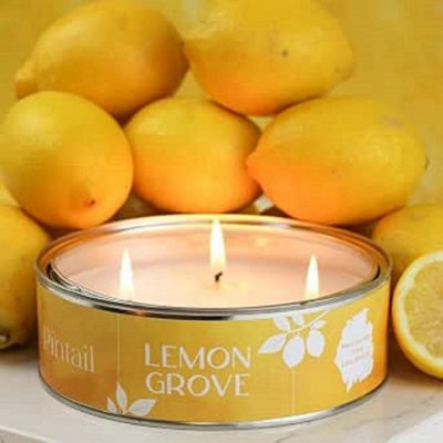 Pintail Candles Grande Triple Wick Candle - Lemon Grove - image 1
