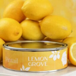 Pintail Candles Grande Triple Wick Candle - Lemon Grove - thumbnail 2