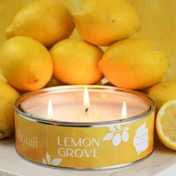 Pintail Candles Grande Triple Wick Candle - Lemon Grove - thumbnail 1