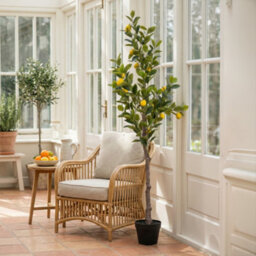 Candlelight Green & Yellow 150Cm Lemon Tree Pot With Artificial Plant In Black Plastic Pot