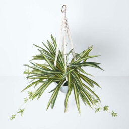 Homescapes Artificial Green Handcrafted Hanging Basket Spider Plant, 95 Cm - thumbnail 2