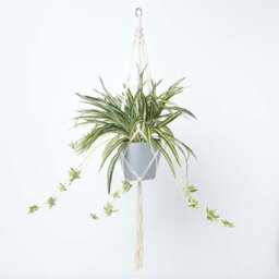 Homescapes Artificial Green Handcrafted Hanging Basket Spider Plant, 95 Cm