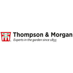 Thompson & Morgan Winter Bedding Super Saver - 120 Plug Plants - thumbnail 9
