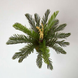 Homescapes Artificial Green Handcrafted 'sago Palm' Cycas Plant With Pot, 75 Cm - thumbnail 2