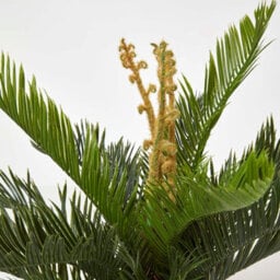Homescapes Artificial Green Handcrafted 'sago Palm' Cycas Plant With Pot, 75 Cm - thumbnail 4