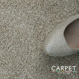 Carpet Shop Online Havana Dune Beige Saxony Carpet 3.5M X 4M - thumbnail 5