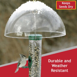 Spares2Go Squirrel Baffle Dome Bird Feeding Station Feeder Guard (Complete Kit With Hanging Hook And Loop) - thumbnail 5