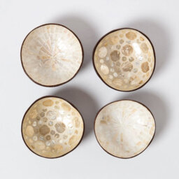 Homescapes Coconut Shell Bowls Set Of 4, Coconut & Capiz Shell - thumbnail 3
