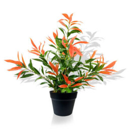 Crystals 80Cm Artificial Ficus Tree Photinia Red Robin Faux Plant In Pot - thumbnail 1