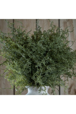 Asparagus Fern Bunch Lush Green Faux Plant For Decor Retail - image 1