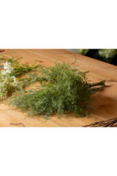 Asparagus Fern Bunch Lush Green Faux Plant For Decor Retail - thumbnail 5