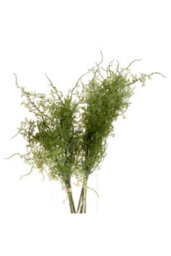 Asparagus Fern Bunch Lush Green Faux Plant For Decor Retail - thumbnail 4
