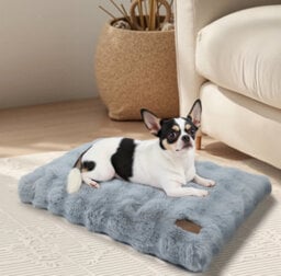 Bingopaw Grey Ultra Plush Pet Beds Puppy Mattress, Washable Cover, 90X60X10Cm - thumbnail 9