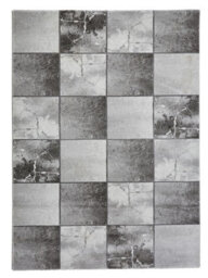 Ivory Silver Abstract Modern Easy To Clean Rug For Bedroom & Living Room-120Cm X 170Cm - thumbnail 8