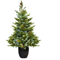 Christmas Tree World The 3Ft/90Cm Cairngorm Pine Potted Tree (Outdoor) - thumbnail 3