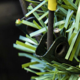 Christmas Tree World The 3Ft/90Cm Cairngorm Pine Potted Tree (Outdoor) - thumbnail 7