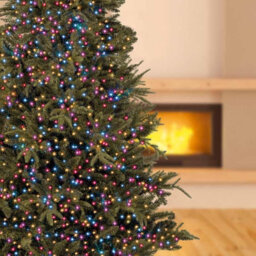 Premier Decorations Limited Premier - 1000 Led Rainbow (Purple, Pink, Turquoise, Orange) Multi-Action Treebrights With Timer, 25M - thumbnail 2