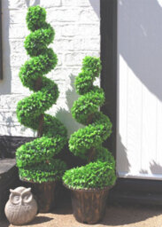 120Cm Green Large Leaf Spiral With Decorative Planter - thumbnail 3