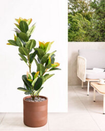 Beliani  Plant Pot Voula 31 Cm Brown - thumbnail 2