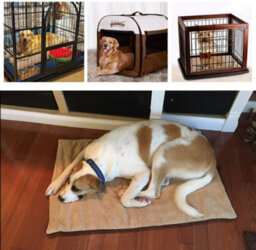 Pawise Dog Cat Bed Mat Teflon Soft Puppy Cushion Waterproof Washable Medium - thumbnail 5
