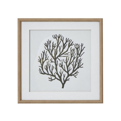 Hill Interiors Atol Coral Art Mounted In Beaded Frame - Glass - L2 X W40 X H40 Cm - Brown - image 1