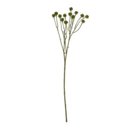 Wyld Haus Set Of 3 Green Craspedia Artificial Flower Stems - thumbnail 1