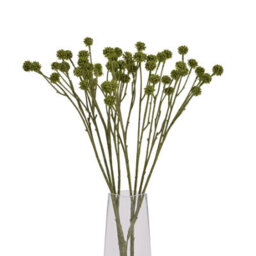 Wyld Haus Set Of 3 Green Craspedia Artificial Flower Stems - thumbnail 2