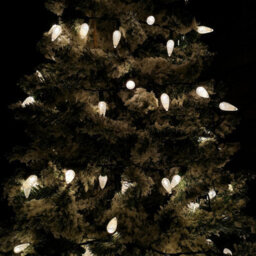 Samuel Alexander 7.5M 150 Led Multi Action Pine Cone Christmas Lights In Warm White - thumbnail 4