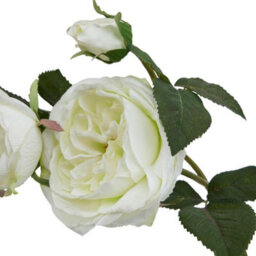 Hill Interiors The Natural Garden Collection Rose Artificial Flower White (One Size) - thumbnail 3