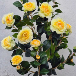 Artificial Yellow Camellia Tree 95Cm In Pot - Faux Blooming Flower Plant Indoor & Outdoor Decorative - thumbnail 4