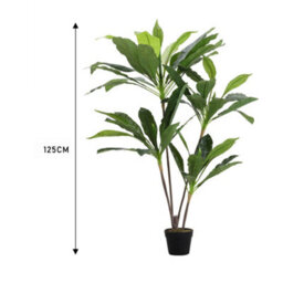 Living And Home 4 Trunk Artificial Asplenium Nidus Tree Fake Plant Indoor Plant In Black Pot 125 Cm - thumbnail 5