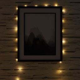 String Battery-Powered Warm White 50 Led Indoor String Lights - thumbnail 2
