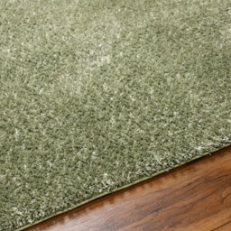 Livabliss Cloudy Shaggy-Solid Color Green Plush Soft Pile Living Bedroom Rug 140 X 200 Cm Easy Care, Non Shedding - thumbnail 3