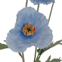 Hill Interiors Papaver Oppy Spray Artificial Flower - Plastic - L15 X W15 X H58 Cm - Blue - thumbnail 3