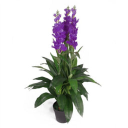 Leaf 100Cm Artificial Cymbidium Orchid Plant - Extra Large - Purple Flowers - thumbnail 8