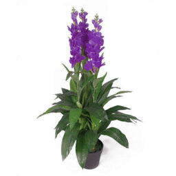 Leaf 100Cm Artificial Cymbidium Orchid Plant - Extra Large - Purple Flowers