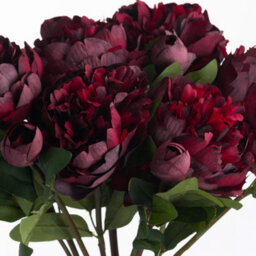 Wyld Haus Set Of 3 Burgundy Peony Rose Stems Artificial Flowers 580mm - thumbnail 3