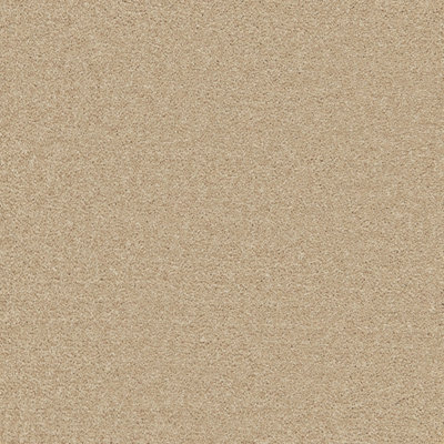 Ecosense Enchantment Elite Carpet By Remland (Clouded Beige, 3M X 4M)