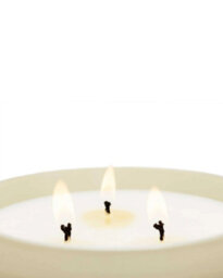 Cereria Molla Large Glass Candle - Velvet Wood - thumbnail 2