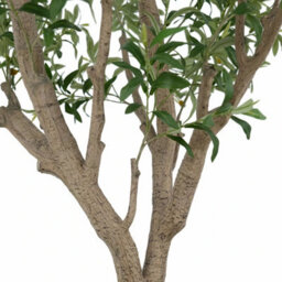 Xample Artificial 8Ft Olive Tree In Cream Planter Premium Lifelike Faux Indoor Plant With Hand-Painted Trunk,easy Assembly,no Maintenance - thumbnail 5