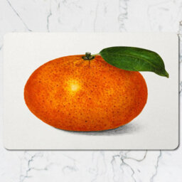 Benjamin Tate Design Fine Art Orange Giclee Placemat And Coaster Set With Wood Base Exclusive Edition Collection - thumbnail 2