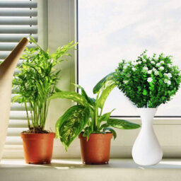 Artificial Eucalyptus Flowers, Artificial Greenery Plant Flower Bouquet, Plastic Decorative Flowers, 4 Pieces (White) - thumbnail 4