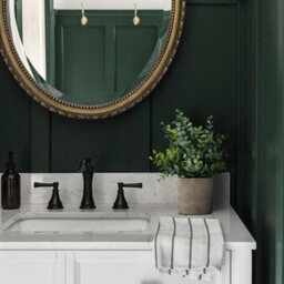 CLEFFNS 2 Pack Small Fake Plants Eucalyptus Potted, Sage Green Small Space Artificial Plants For Bathroom Shelf Office Table Tray Decor - thumbnail 3