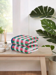 Rapport Home Santa Cruz Pure Cotton Hand Towels Set Of 2 (Multicolour)
