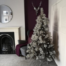 Samuel Alexander 6Ft (180Cm) Premier Snow Fir Grey Pvc Christmas Tree With 587 Cashmere Tips - thumbnail 1